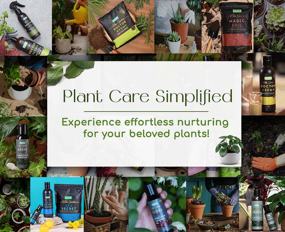 Homepage banner (1).png__PID:eda9ab3e-b536-4e26-9089-13e0dbe483b3